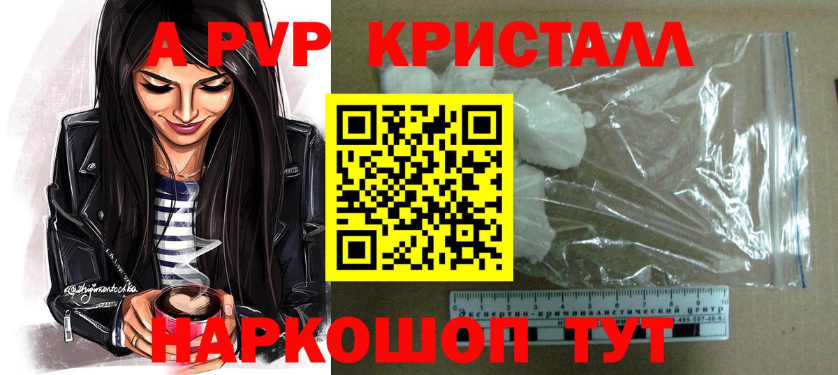 A PVP СК КРИС Назрань