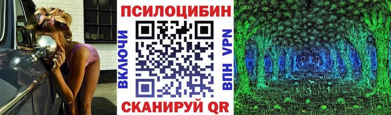 Галлюциногенные грибы GOLDEN TEACHER  ОМГ ОМГ ONION  Назрань 