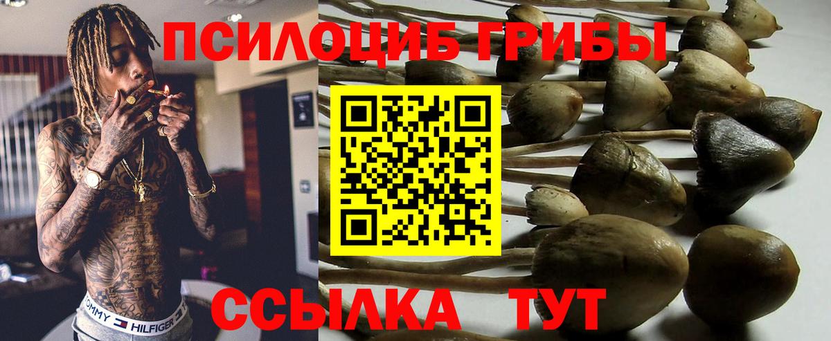 Галлюциногенные грибы ЛСД  наркошоп  Назрань  Вход с VPN 