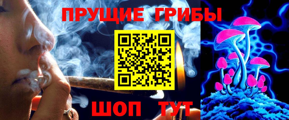 Псилоцибиновые грибы Psilocybine cubensis Назрань