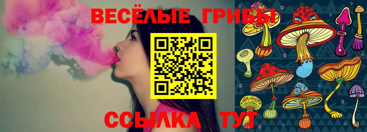 где продают   Назрань  Псилоцибиновые грибы MAGIC MUSHROOMS 